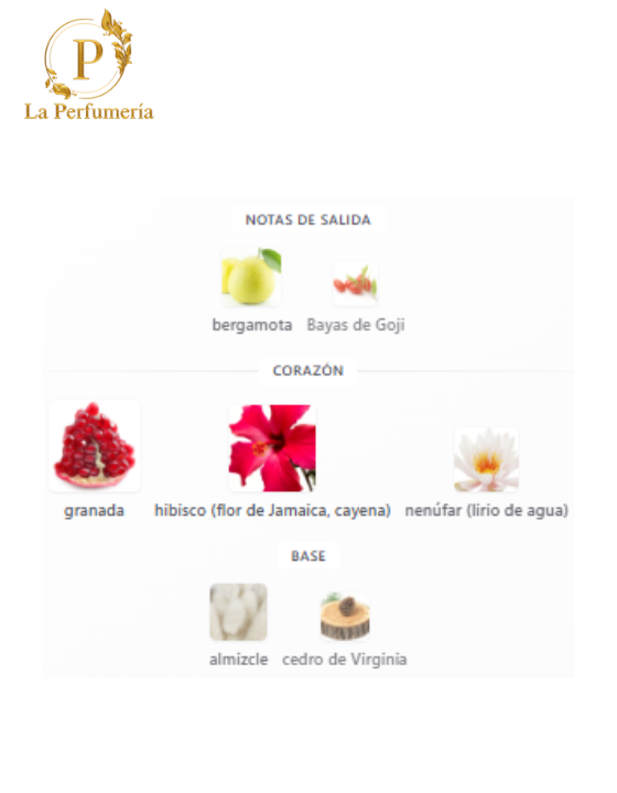 Inspirado en - Omnia Coral DAMA - Bvlgari - 2