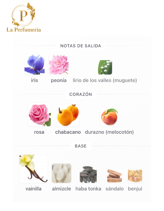 Inspirado en - MISS DIOR - 2