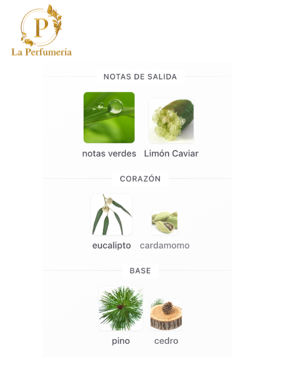 Inspirado en - LACOSTE BLANCA MEN - LACOSTE - 2