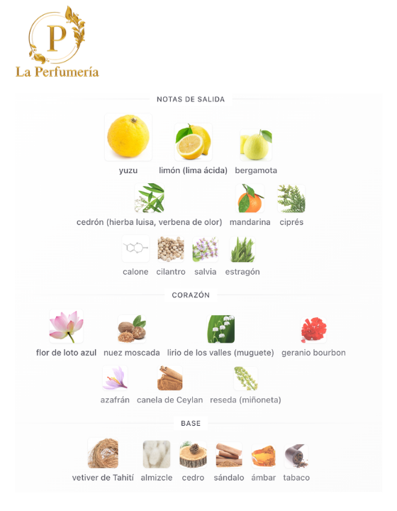 Inspirado en - LEau DIssey Pour Homme MAN - 2